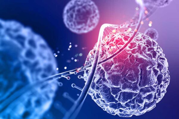 New Study Claims No Link Between Mobile Phones and Brain Cancer
