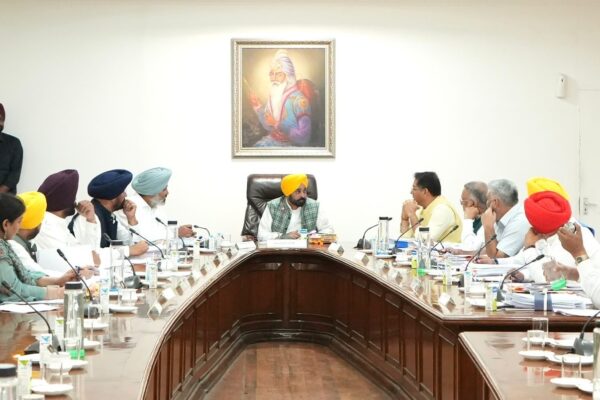 Punjab hikes fuel rates, scraps power subsidy above loads of 7 KW