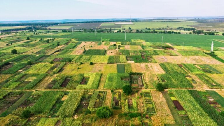 Centre launches climate resilient farming projects: Agriculture Ministry