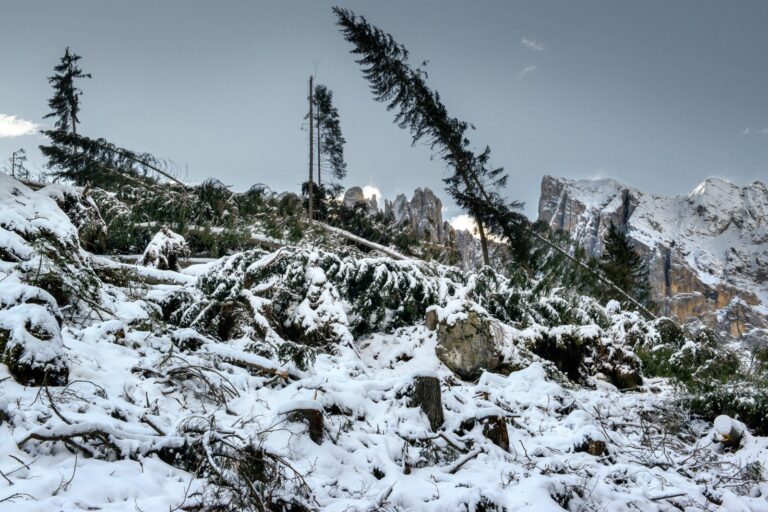 Badrinath avalanche: 42 trapped, 15 saved as rescue operations continue
