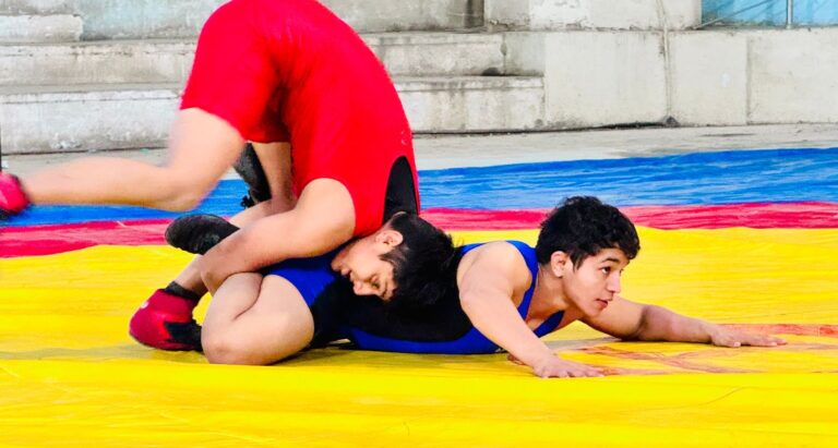 Punjab’s Purewal Games open with wrestling and athletics