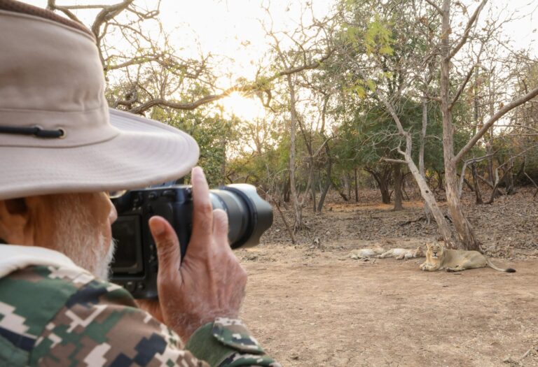 Modi pledges to protect biodiversity on World Wildlife Day
