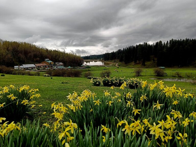 Govt closed 48 tourist spots in Kashmir