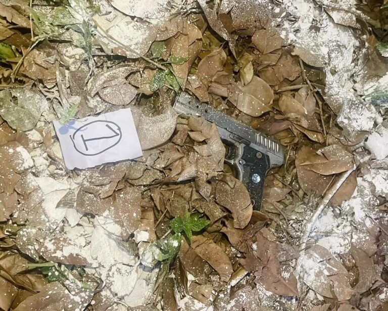 Pak-ISI-backed terror module behind attempted grenade attack in Batala; six operatives held