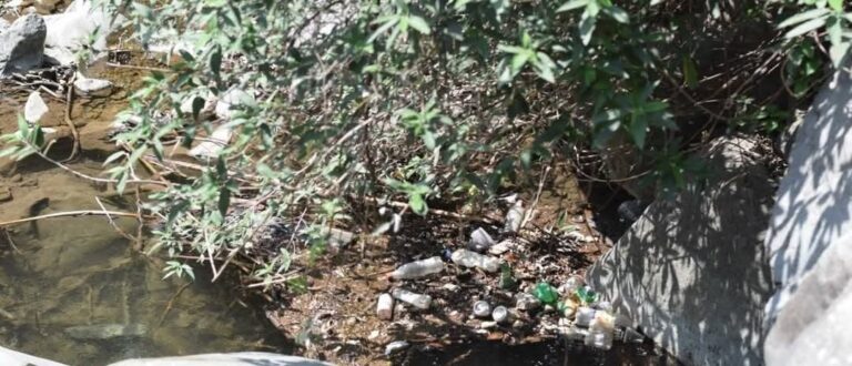 Himachal govt bans small PET water bottles