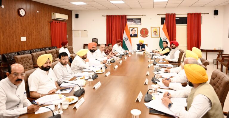 Punjab Cabinet approves industrial plot conversion