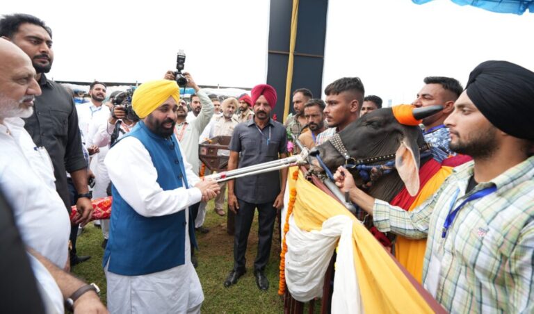CM: Bull races return to Punjab after 11 years