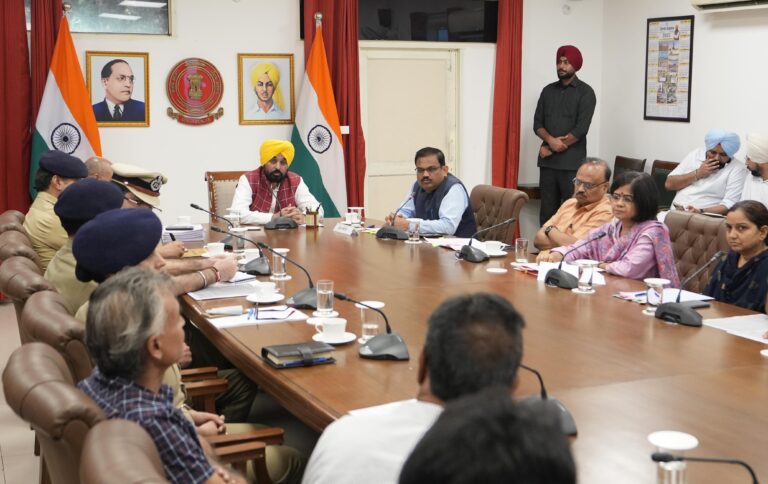 CM directs expert panel to assess proposed Bagga Kalan, Akhaara biogas projects