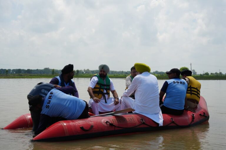 Punjab orders special girdawari in flood affected areas