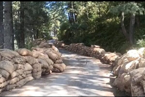 Himachal apple farmers suffer heavy losses, accuse govt of neglect