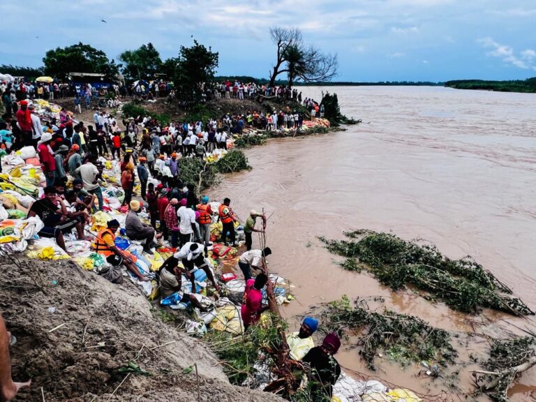Punjab floods devastate 1.75 lakh hectares of farmland, 37 killed