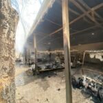 Two dozen electric carts damaged in fire at Chhatbir Zoo