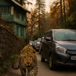 Brave father fights off leopard to save son in Shimla