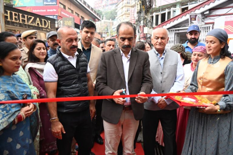 Himachal Panchayati Raj polls likely in December: Anirudh Singh