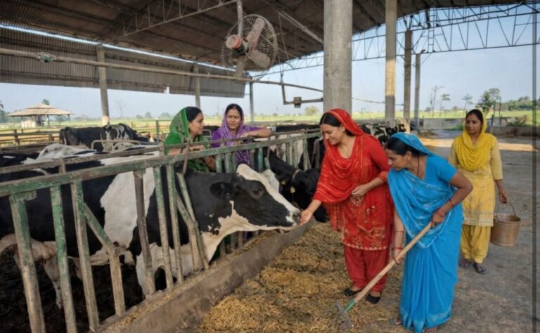 Punjab cuts cooperative registration fee to boost farmers