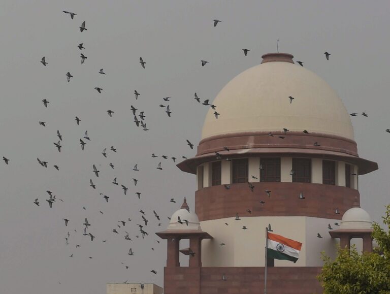 No ban on felling of dry and rotten khair trees on private land in Himachal: SC clarifies
