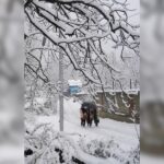 Jammu Snowfall