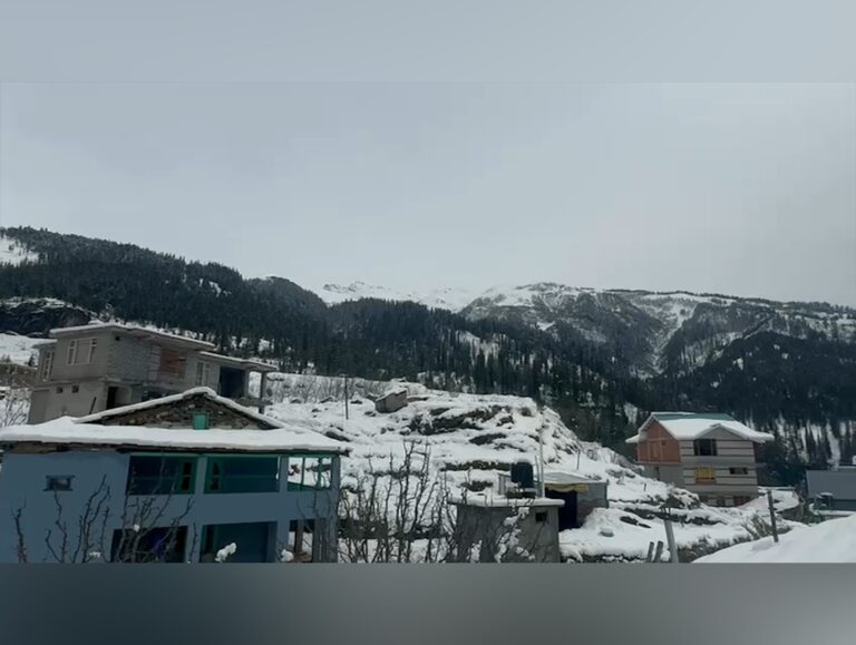 Fresh Snowfall in March Brings Cheer to Orchardists and Tourism Sector in Manali
