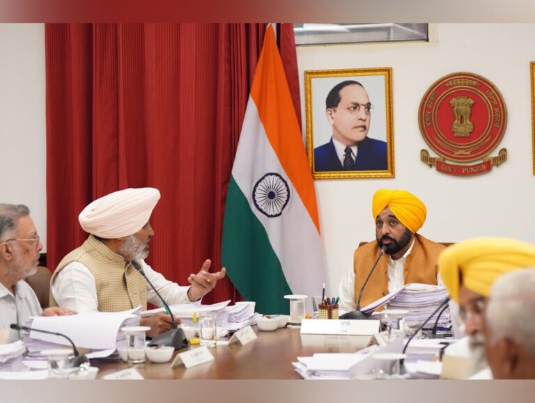 Investors can choose incentives under Punjab’s new industrial policy: CM Mann
