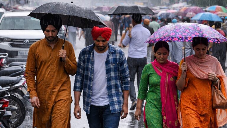 Light rain in Punjab, Haryana; max temp down