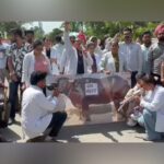 Nurses Play Flute Before ‘Government Buffalo’ in Patiala Pay Protest