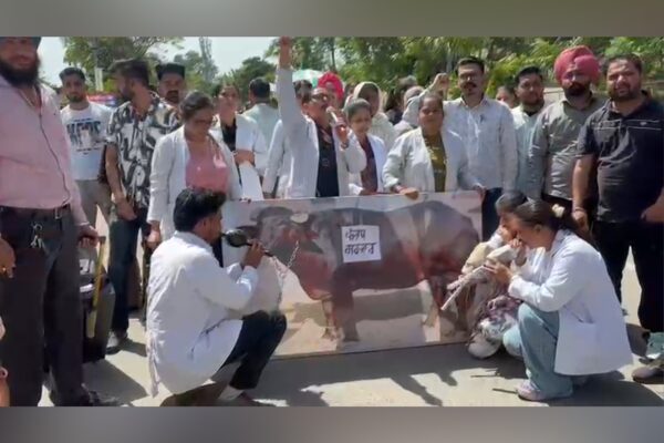 Rajindra Hospital Nurses Hold Buffalo Protest Over 4600 Grade Pay