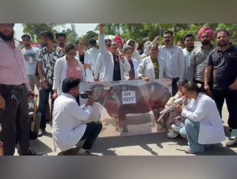 Rajindra Hospital Nurses Hold Buffalo Protest Over 4600 Grade Pay