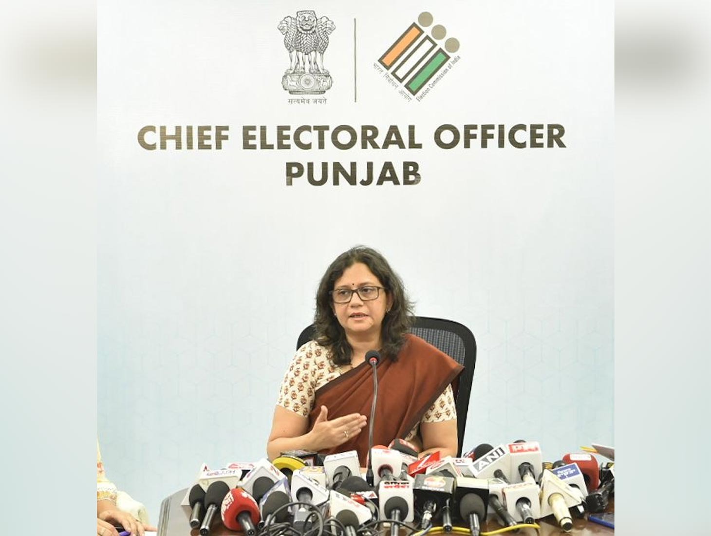 CEO Chief Electoral Officer