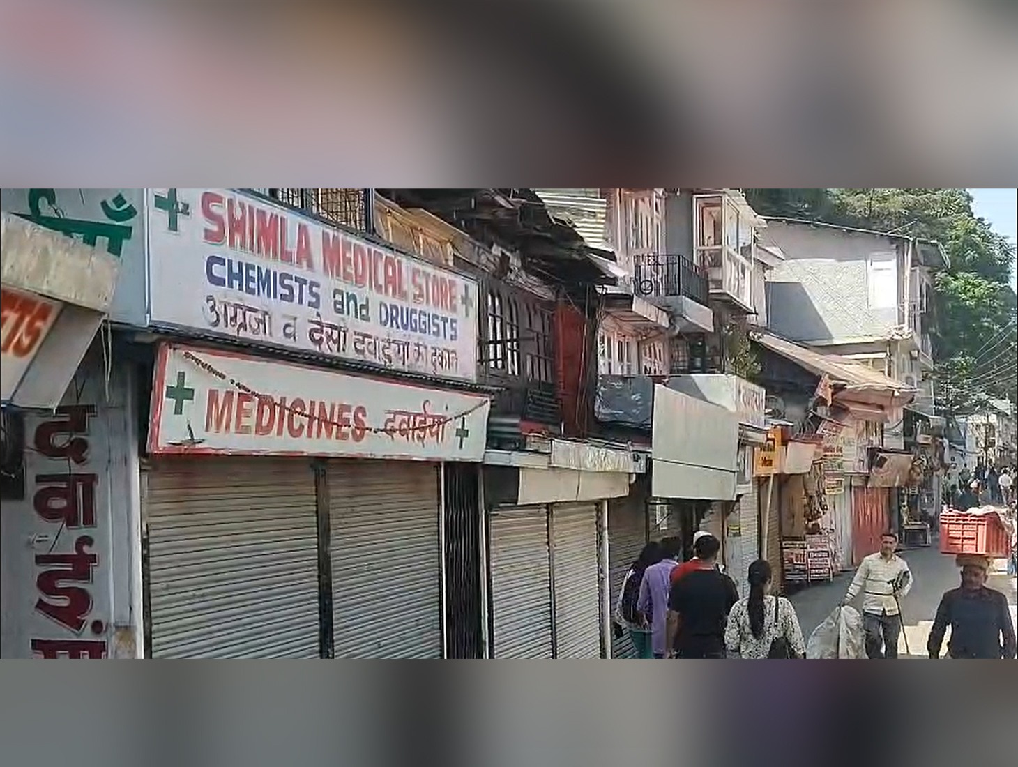 Shimla medicine shop