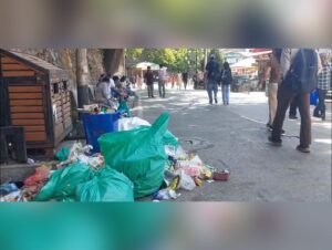 Shimla waste