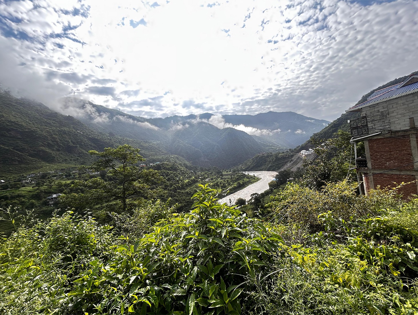 Himachal