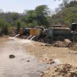 Pinjore Youth Step In to Save Wildlife as Forest Pond Dries Up