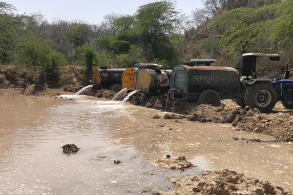 Pinjore Youth Step In to Save Wildlife as Forest Pond Dries Up