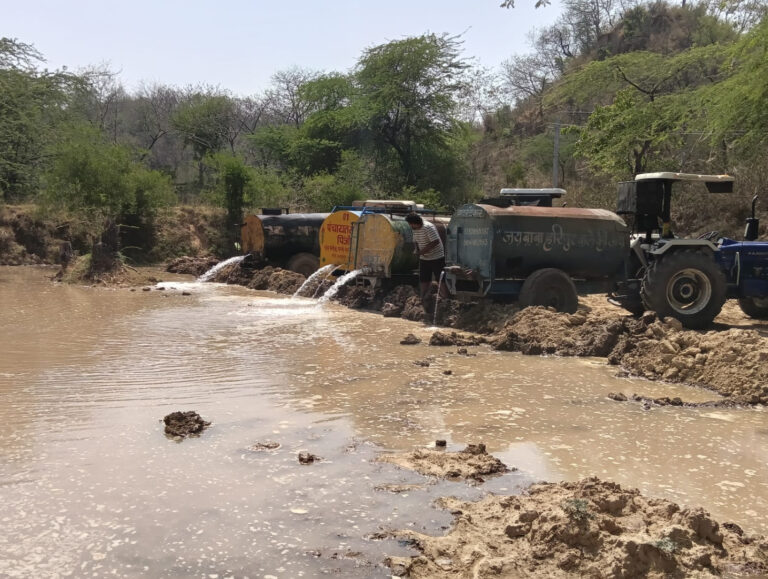 Pinjore Youth Step In to Save Wildlife as Forest Pond Dries Up
