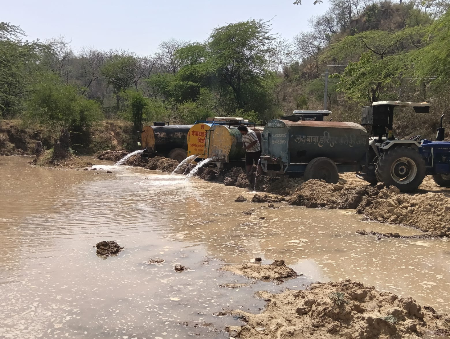 Pinjore Youth Step In to Save Wildlife as Forest Pond Dries Up
