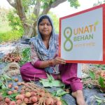 Punjab exports first consignment of Hoshiarpur lychees to Oman