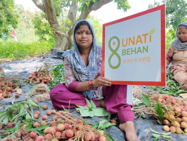 Punjab exports first consignment of Hoshiarpur lychees to Oman