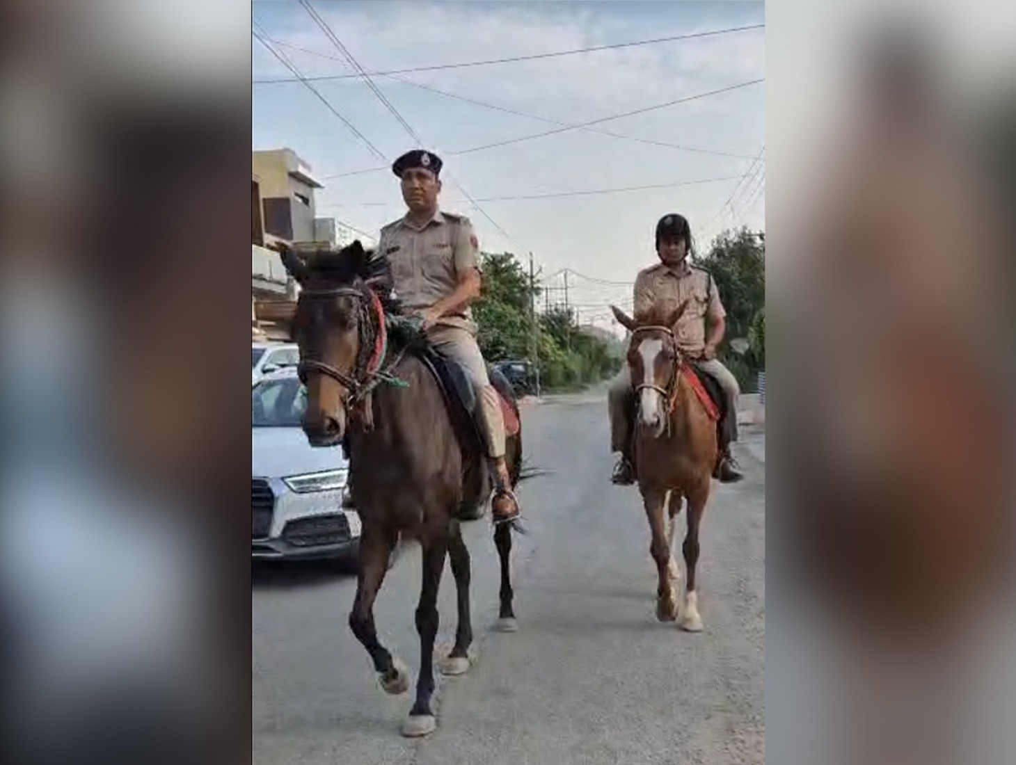 Horse Patrols Introduced in Panchkula to Boost Crime Prevention Efforts