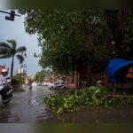 Showers Cool Punjab and Haryana After Days of Intense Heat