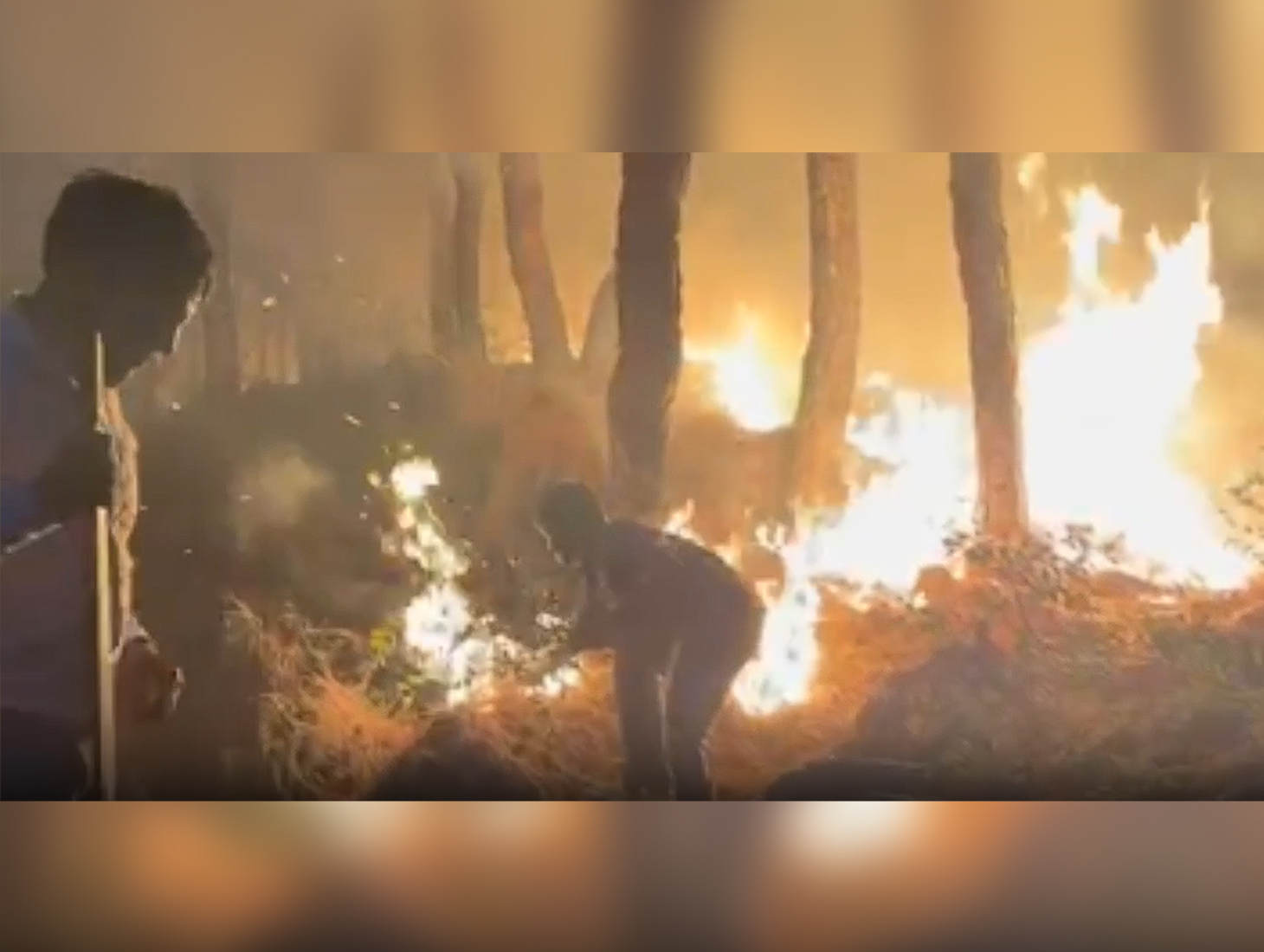 Dharamshala Forest Division Battles Spike in Fire Incidents Amid Soaring Temperatures