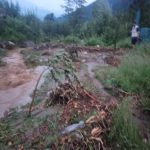 Heavy rain damages roads, apple orchards in Manali
