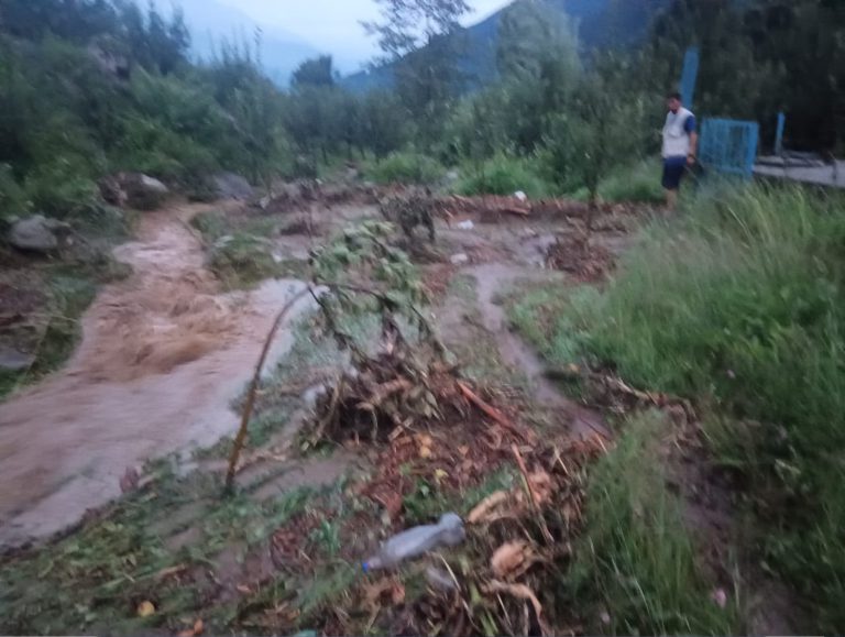 Heavy rain damages roads, apple orchards in Manali