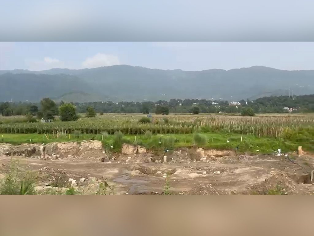 Mandi