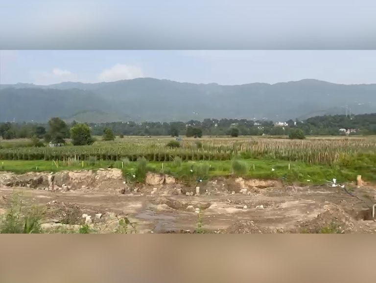 Mandi