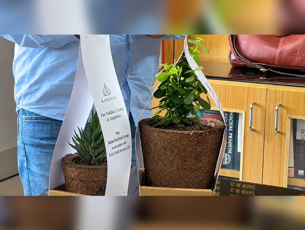 Kangra Youth Turns Pine Needles Into Eco-Friendly Planters, Boosting Rural Jobs