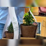 Kangra youth turns pine needles into eco-friendly planters, boosting rural jobs