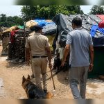 Panchkula Police conduct combing operation with sniffer dog in Ramgarh