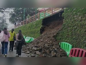 Heavy Rain Continues to Batter Shimla; Landslide, Falling Tree Cause Damage