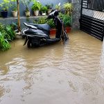 Heavy rain batters Kangra; tree blocks Pathankot–Manali Highway, schools closed