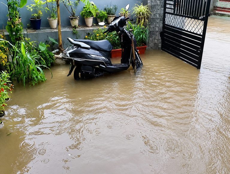 Heavy rain batters Kangra; tree blocks Pathankot–Manali Highway, schools closed